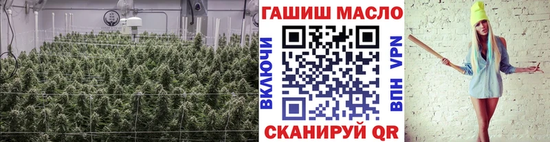где купить наркотик  Белогорск  ТГК гашишное масло 